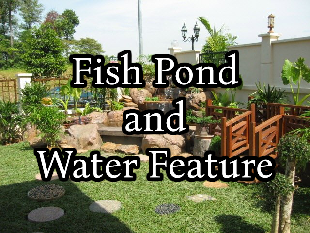 fish pond and water feature